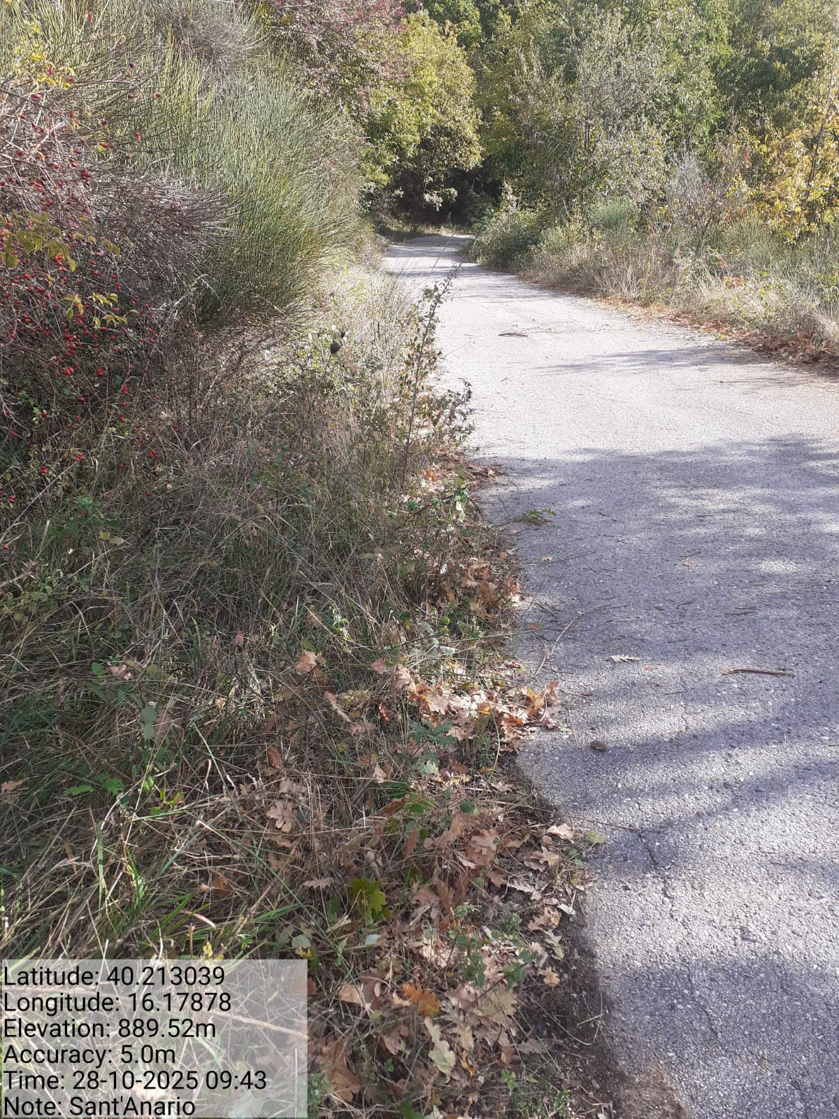 Galleria Fotografica Immagine