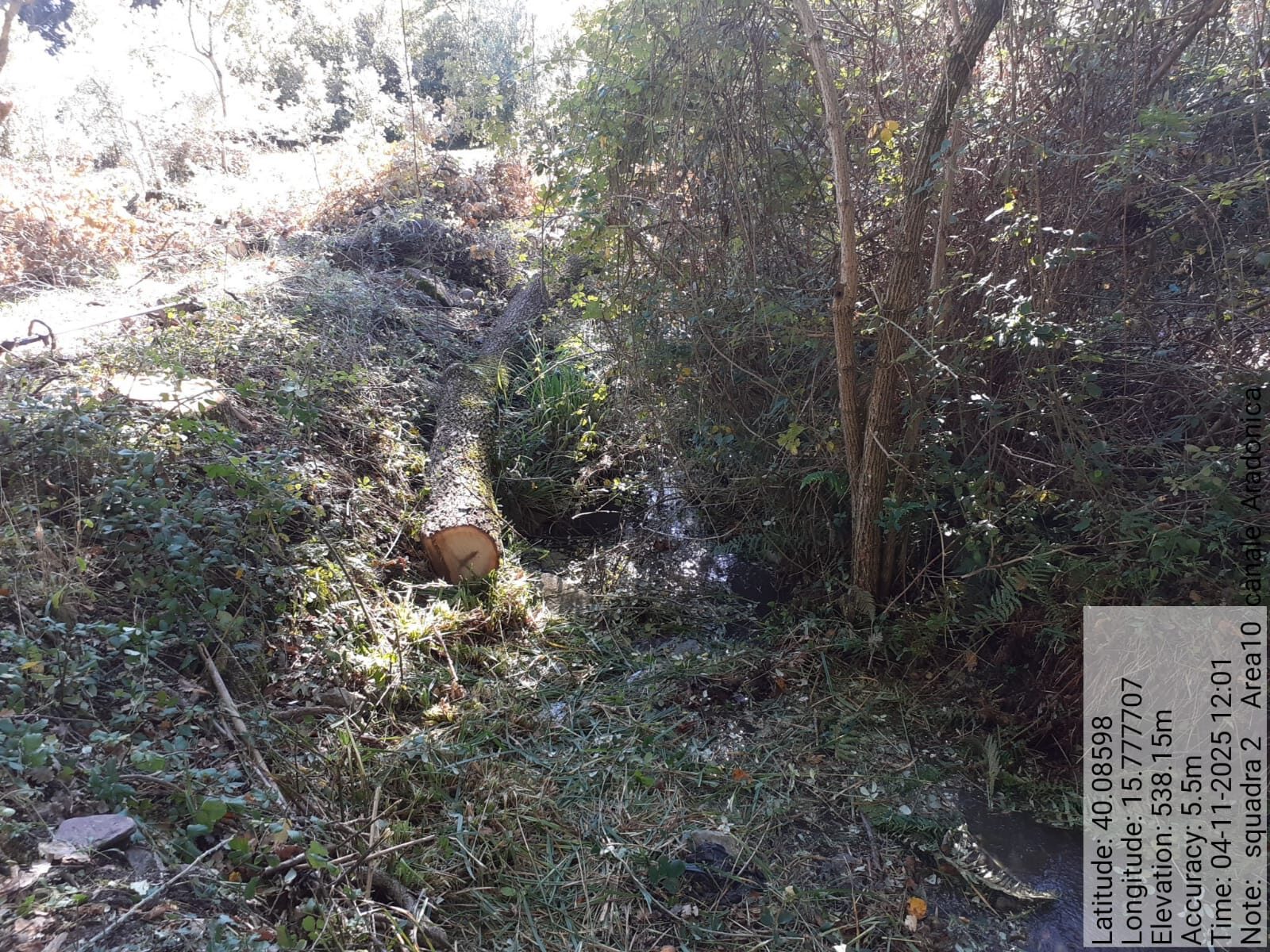 Galleria Fotografica Immagine