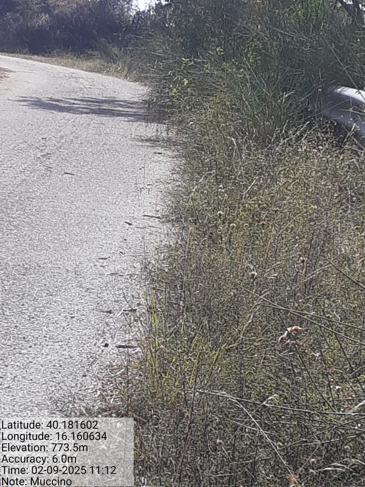 Galleria Fotografica Immagine