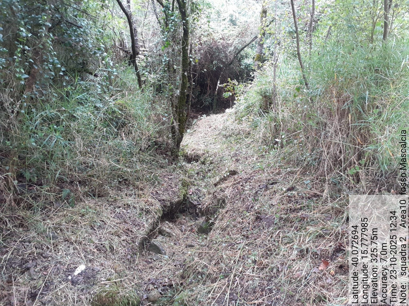 Galleria Fotografica Immagine