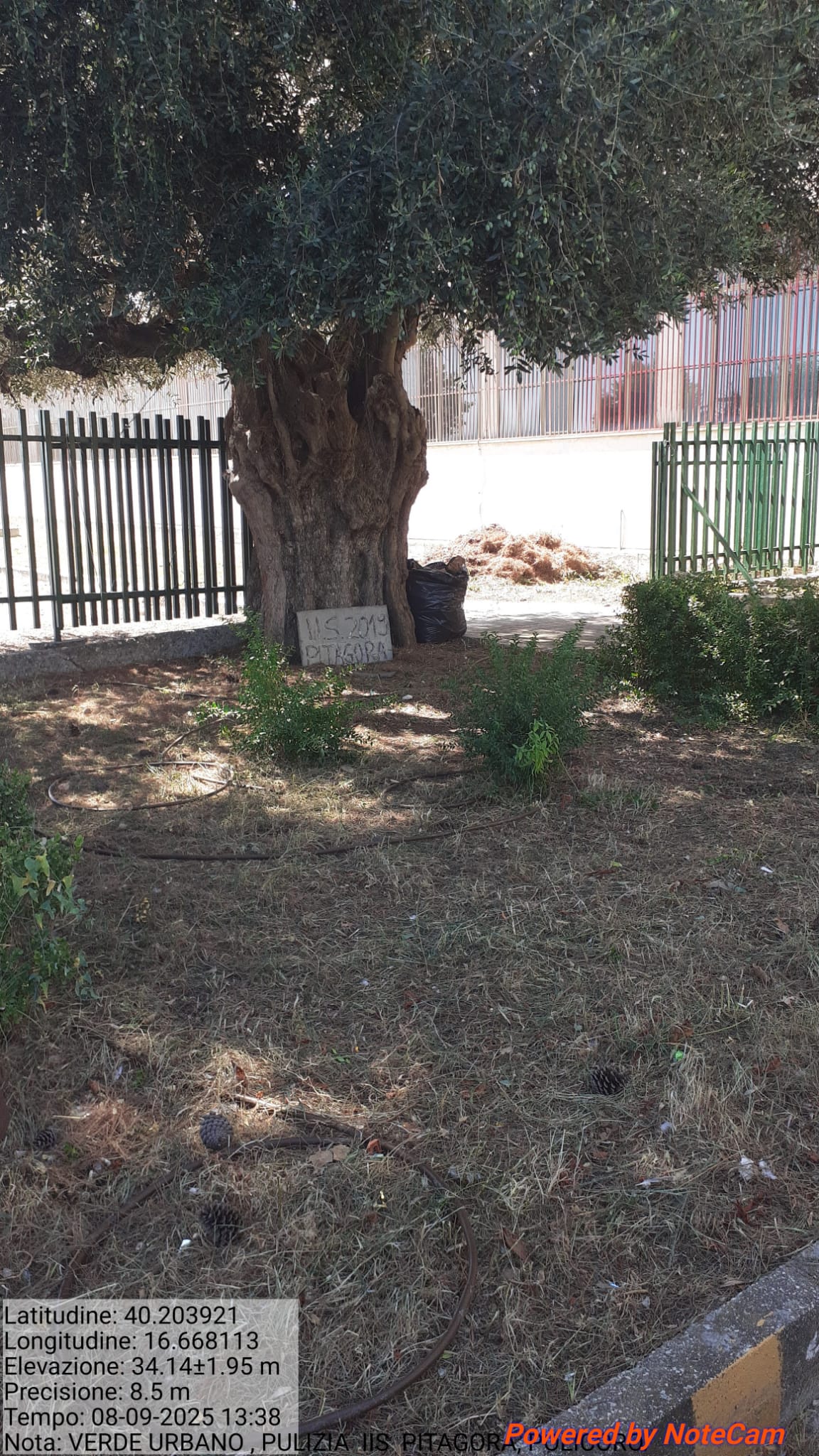 Galleria Fotografica Immagine