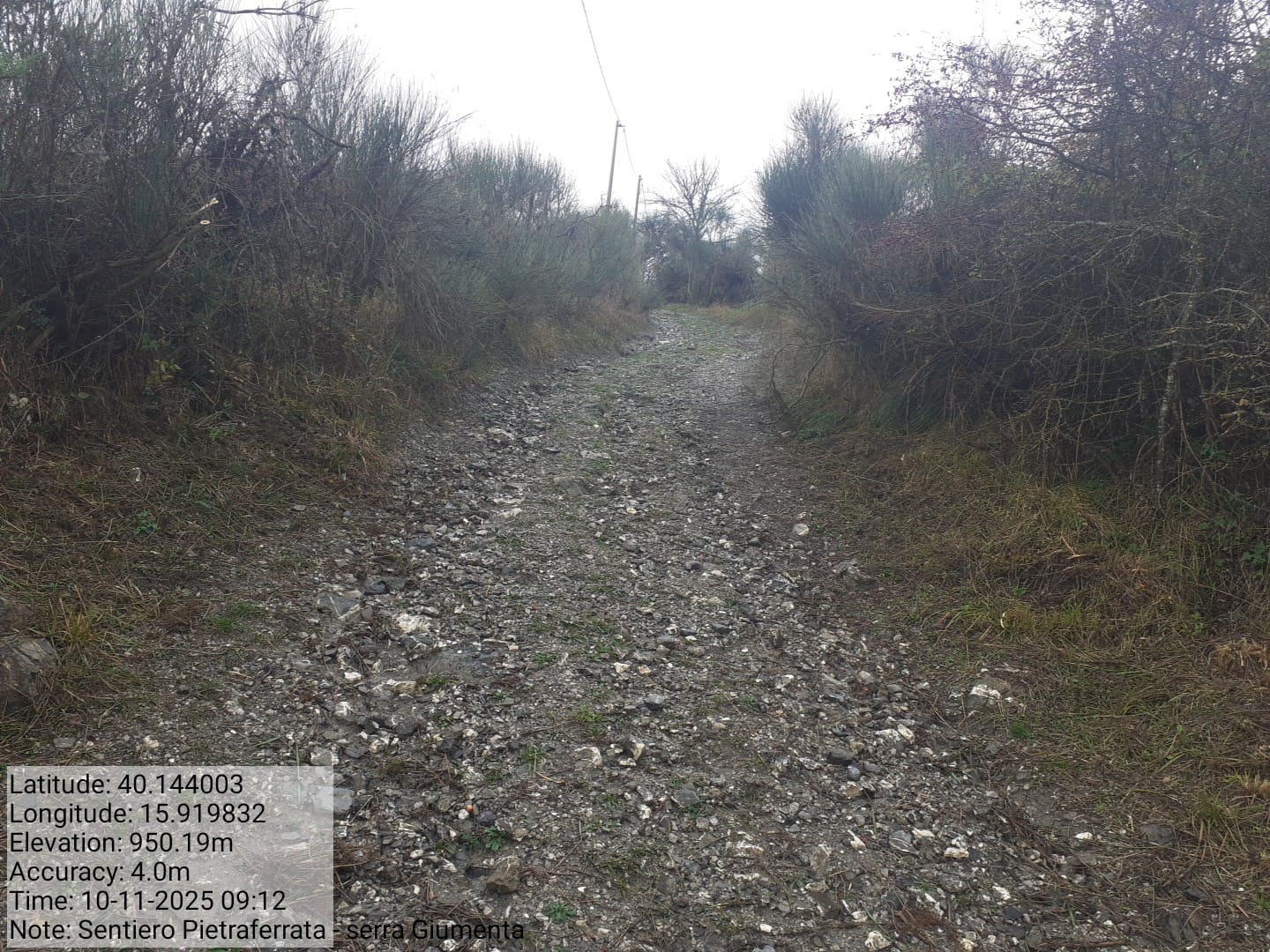 Galleria Fotografica Immagine