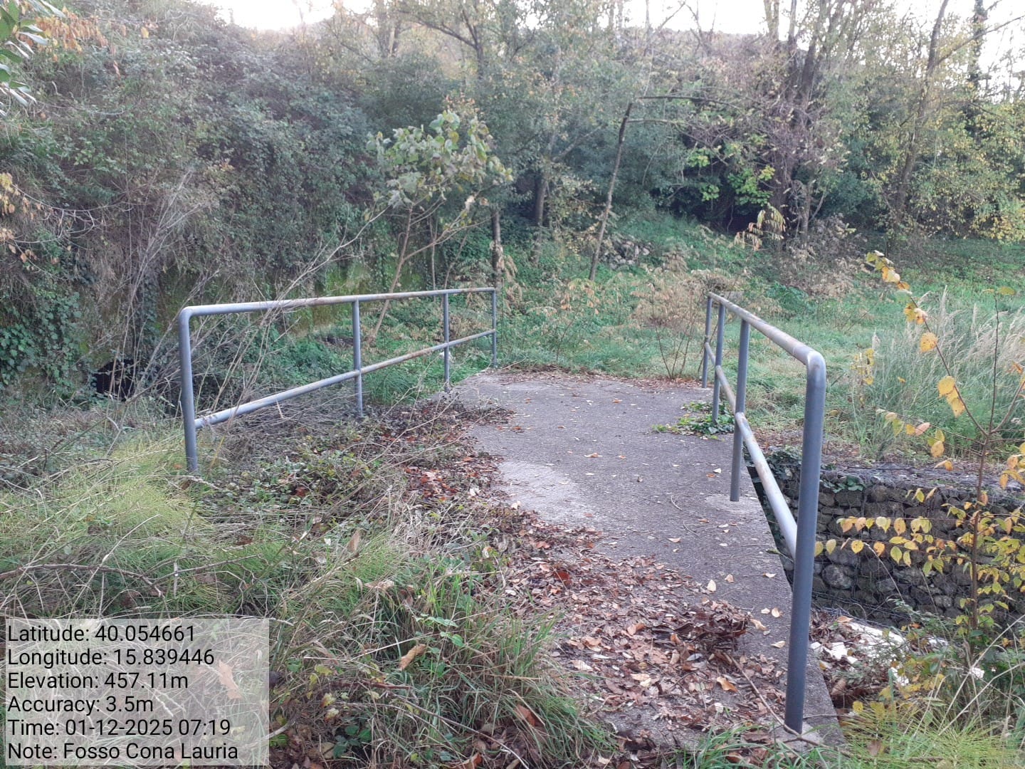 Galleria Fotografica Immagine