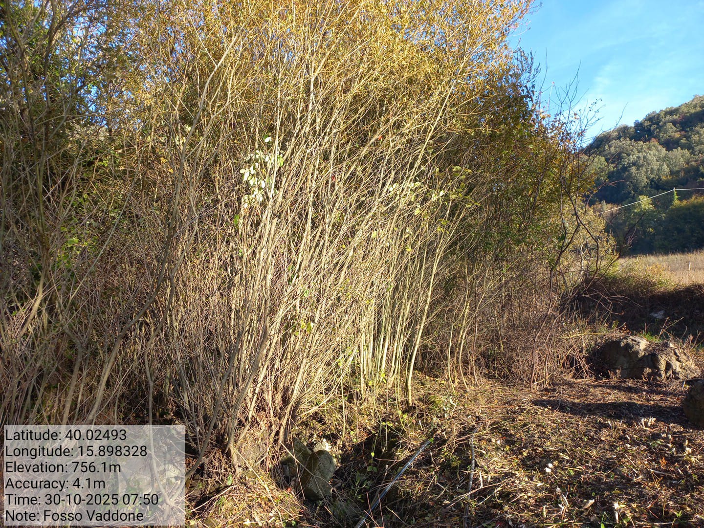 Galleria Fotografica Immagine