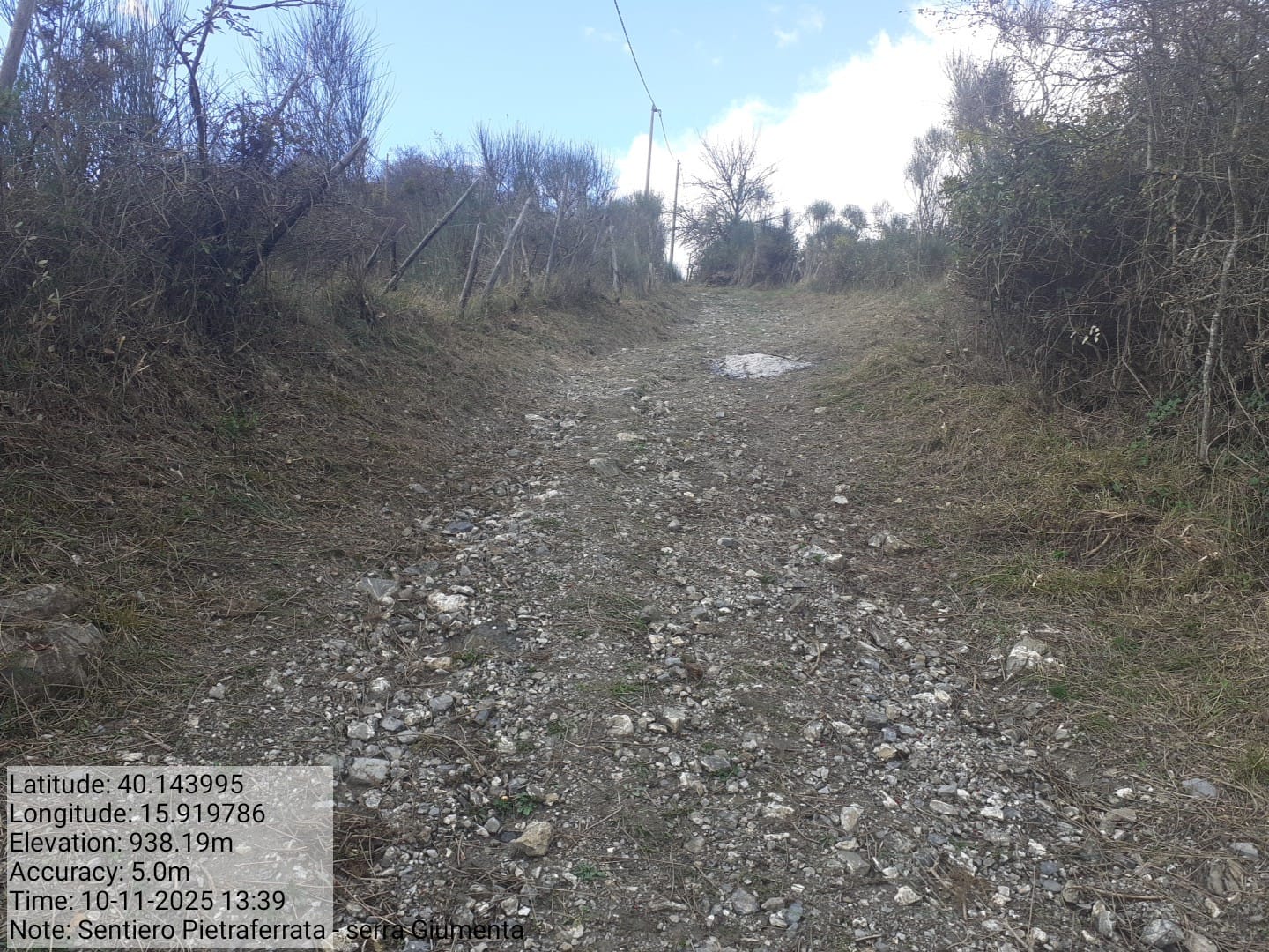 Galleria Fotografica Immagine