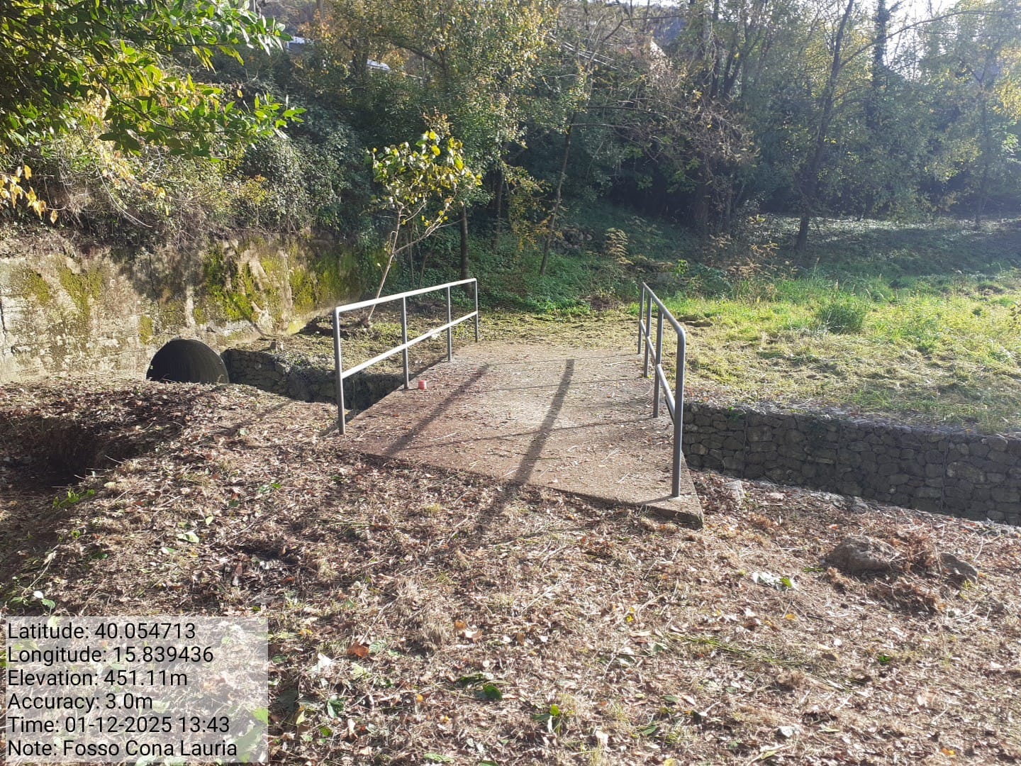 Galleria Fotografica Immagine