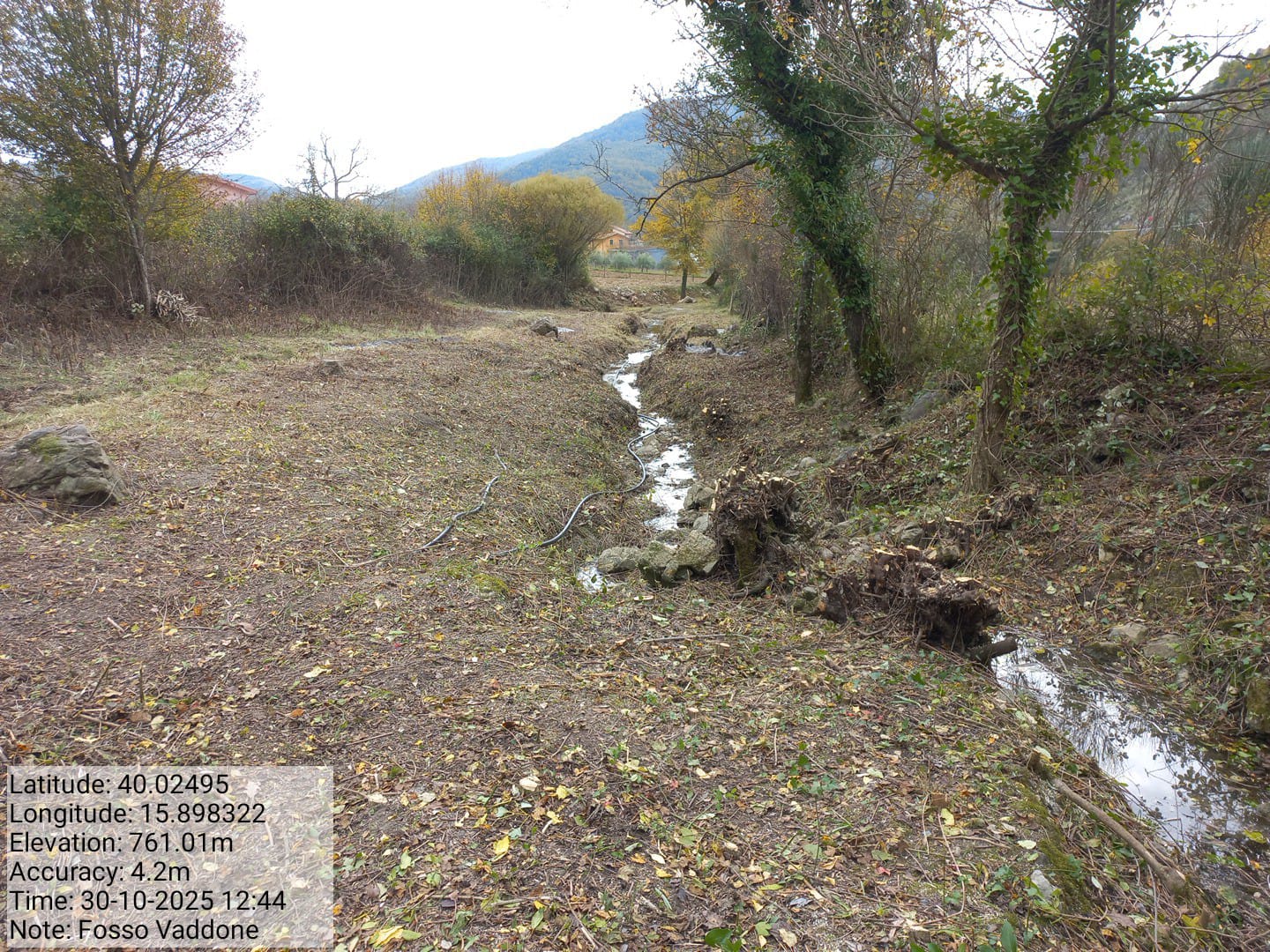 Galleria Fotografica Immagine