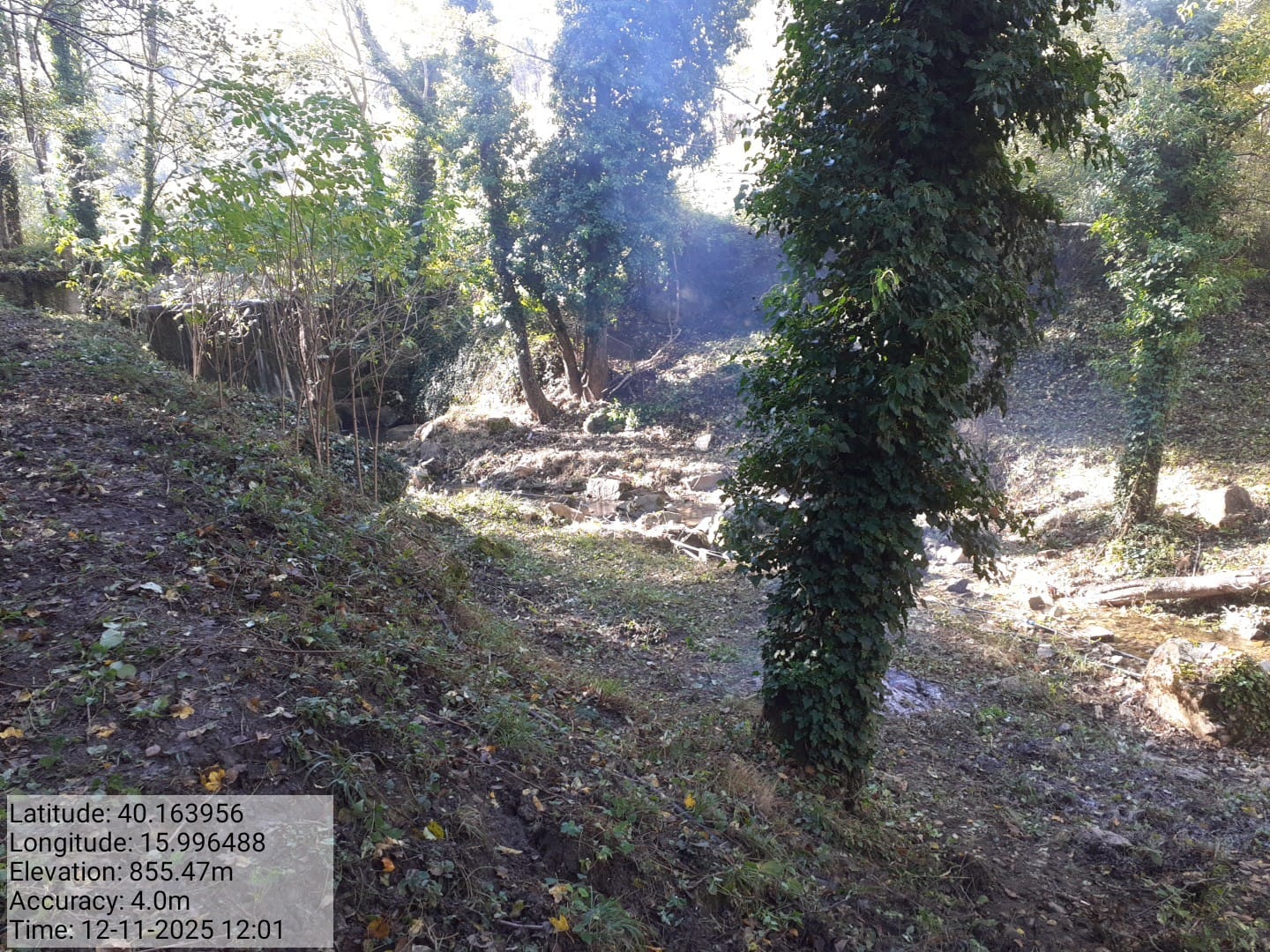 Galleria Fotografica Immagine