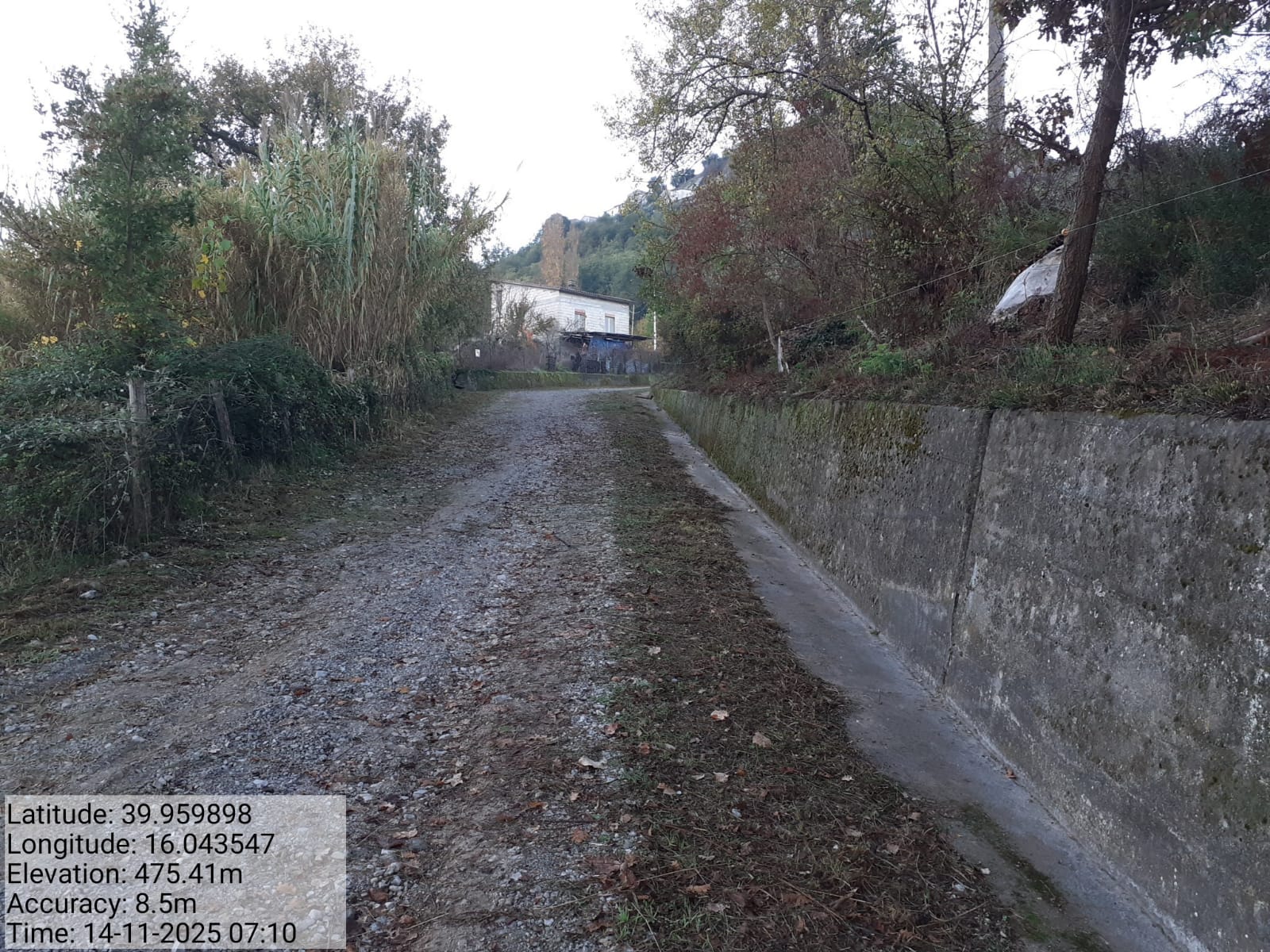 Galleria Fotografica Immagine