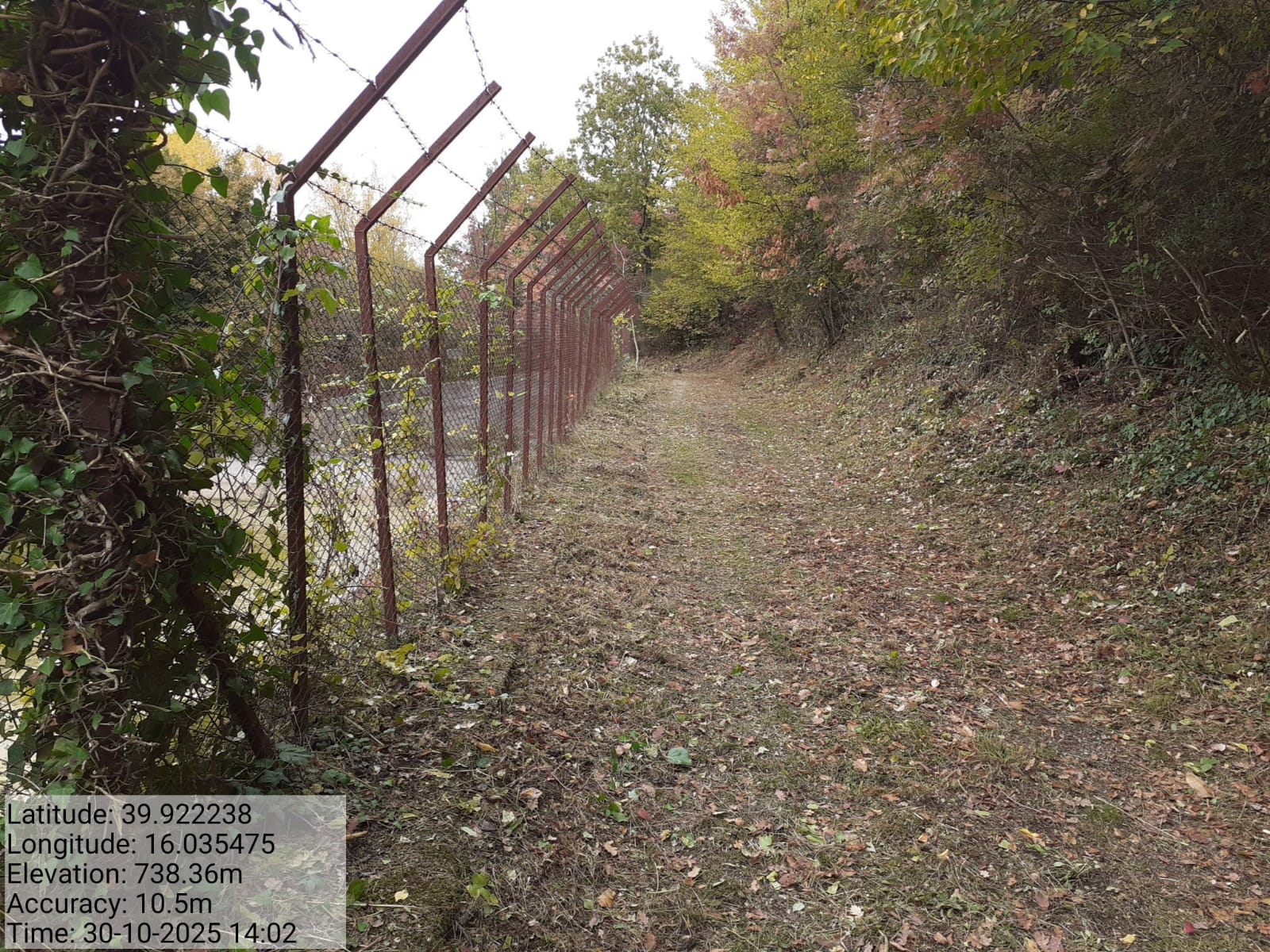 Galleria Fotografica Immagine