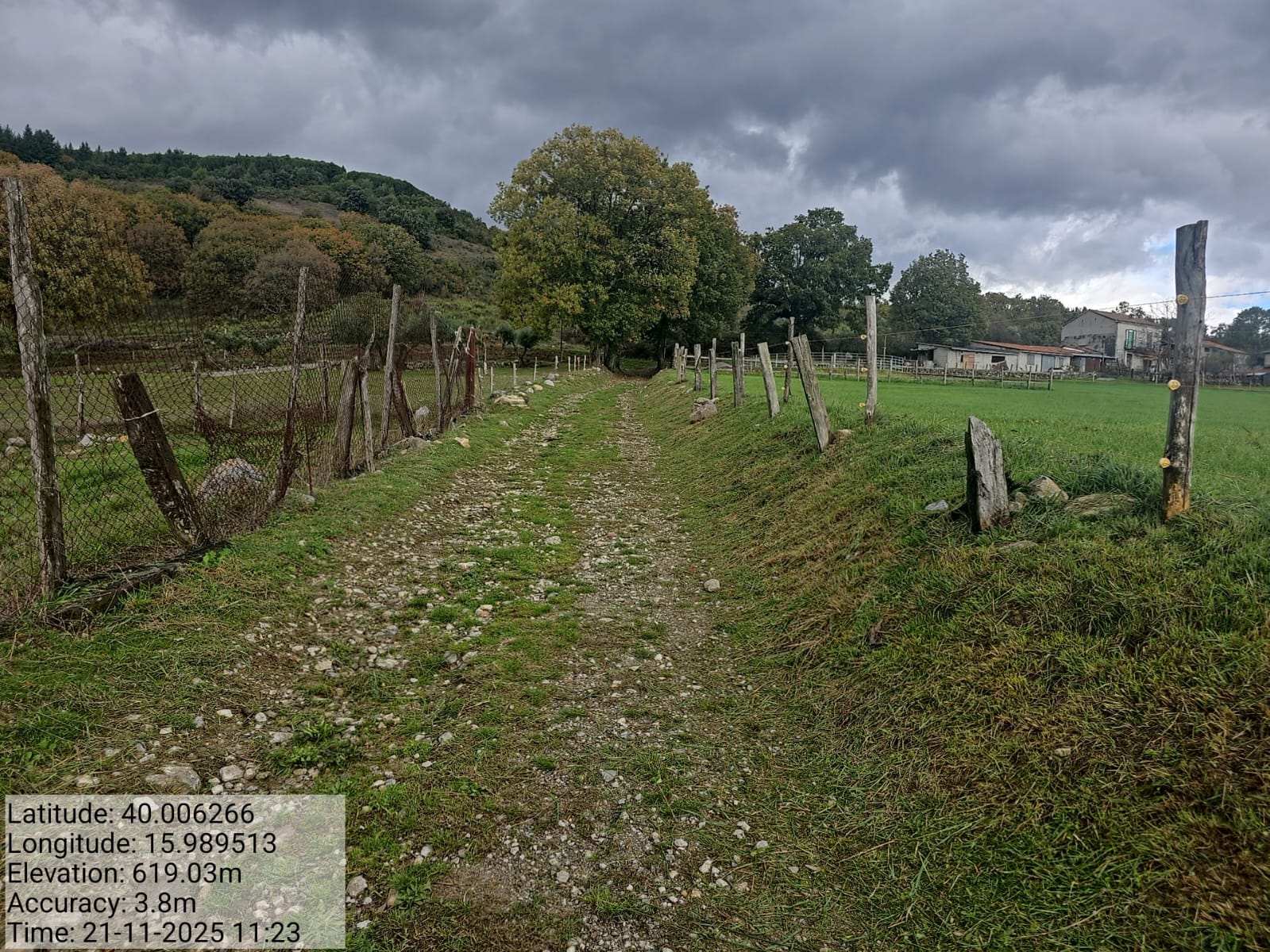 Galleria Fotografica Immagine