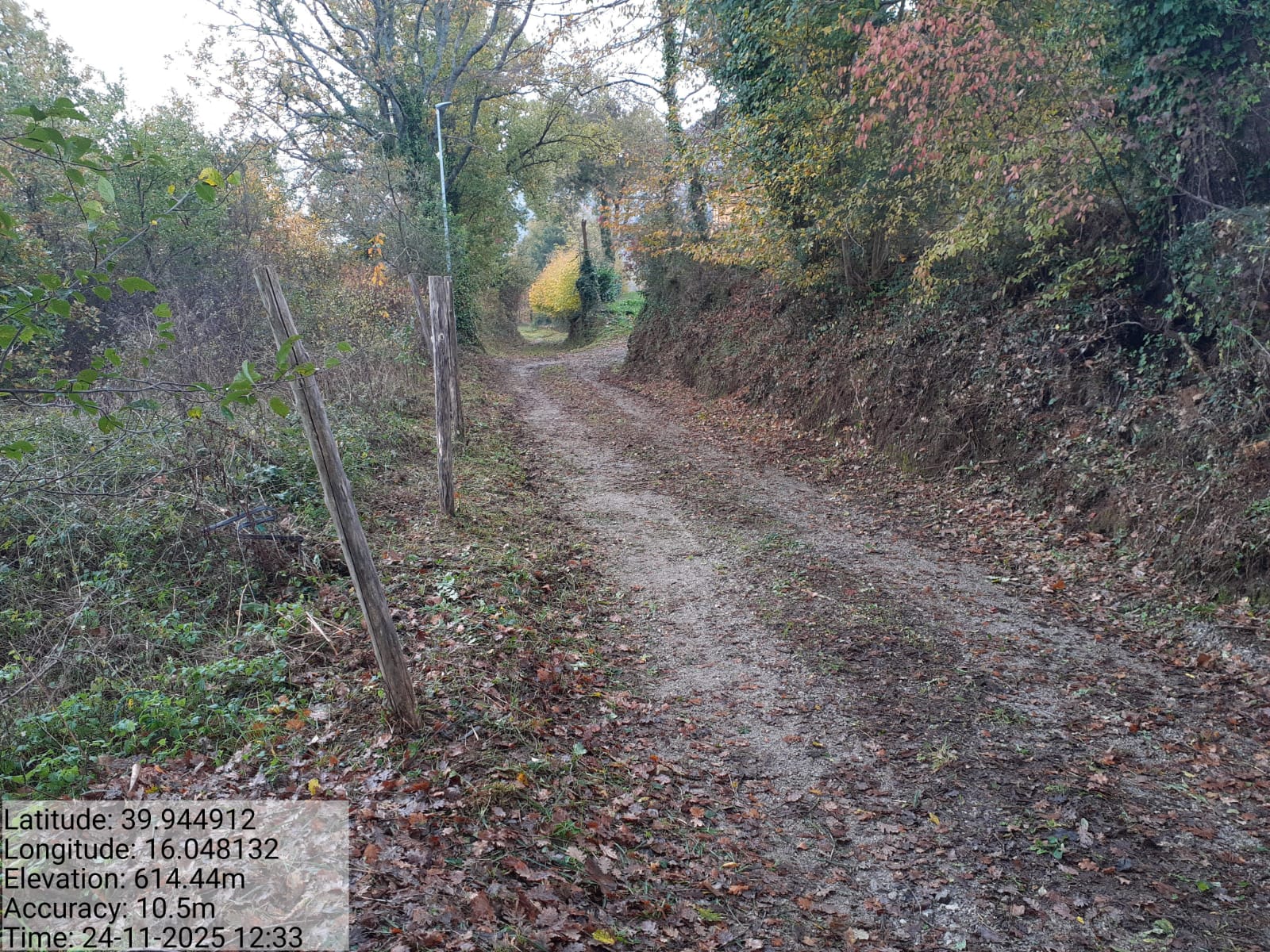 Galleria Fotografica Immagine