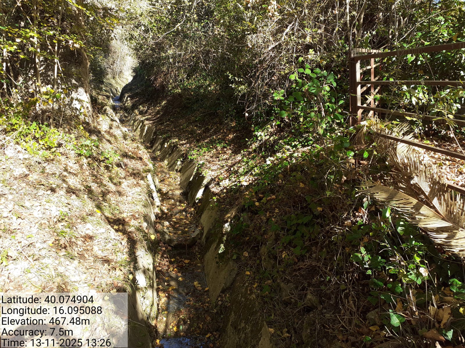 Galleria Fotografica Immagine