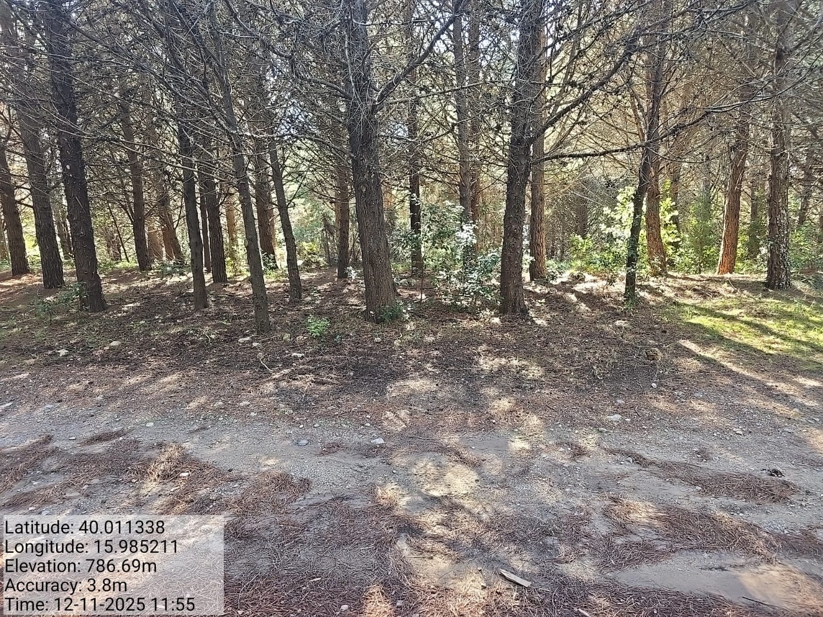 Galleria Fotografica Immagine