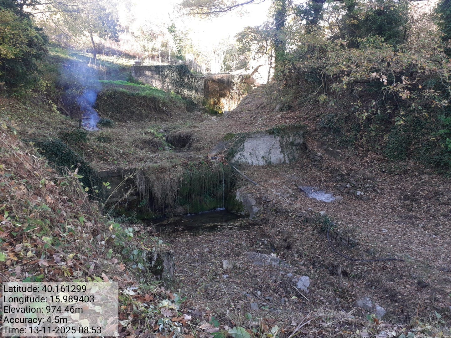 Galleria Fotografica Immagine