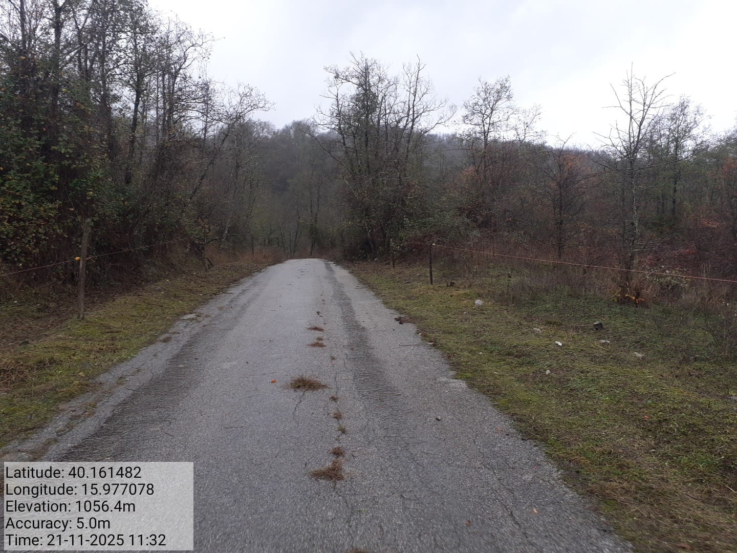 Galleria Fotografica Immagine