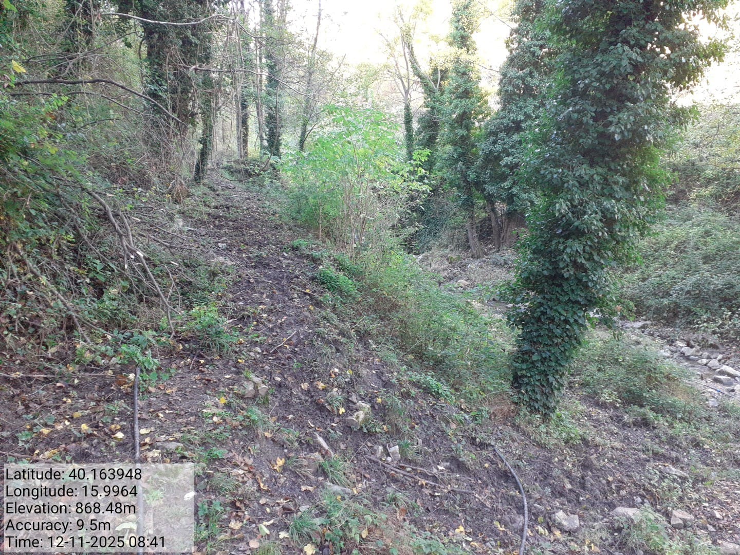 Galleria Fotografica Immagine