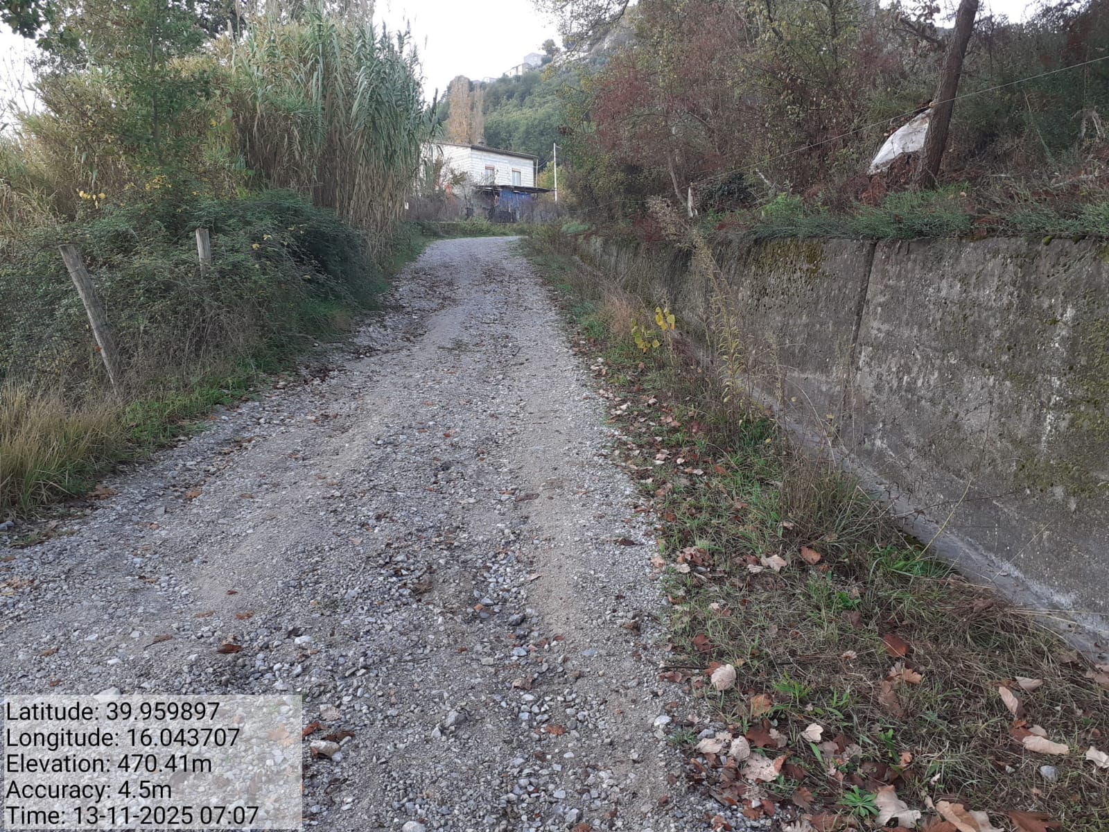 Galleria Fotografica Immagine