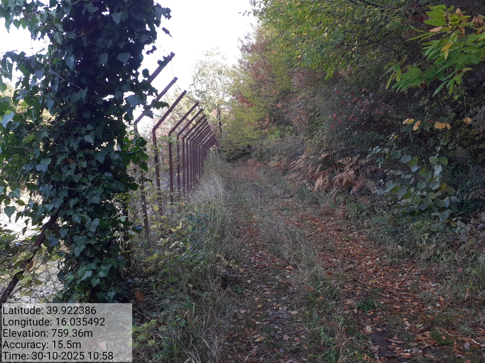 Galleria Fotografica Immagine