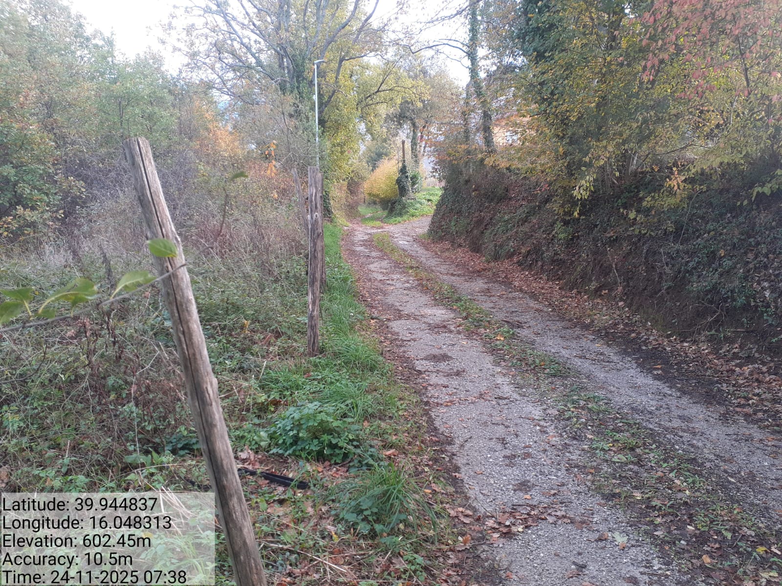 Galleria Fotografica Immagine