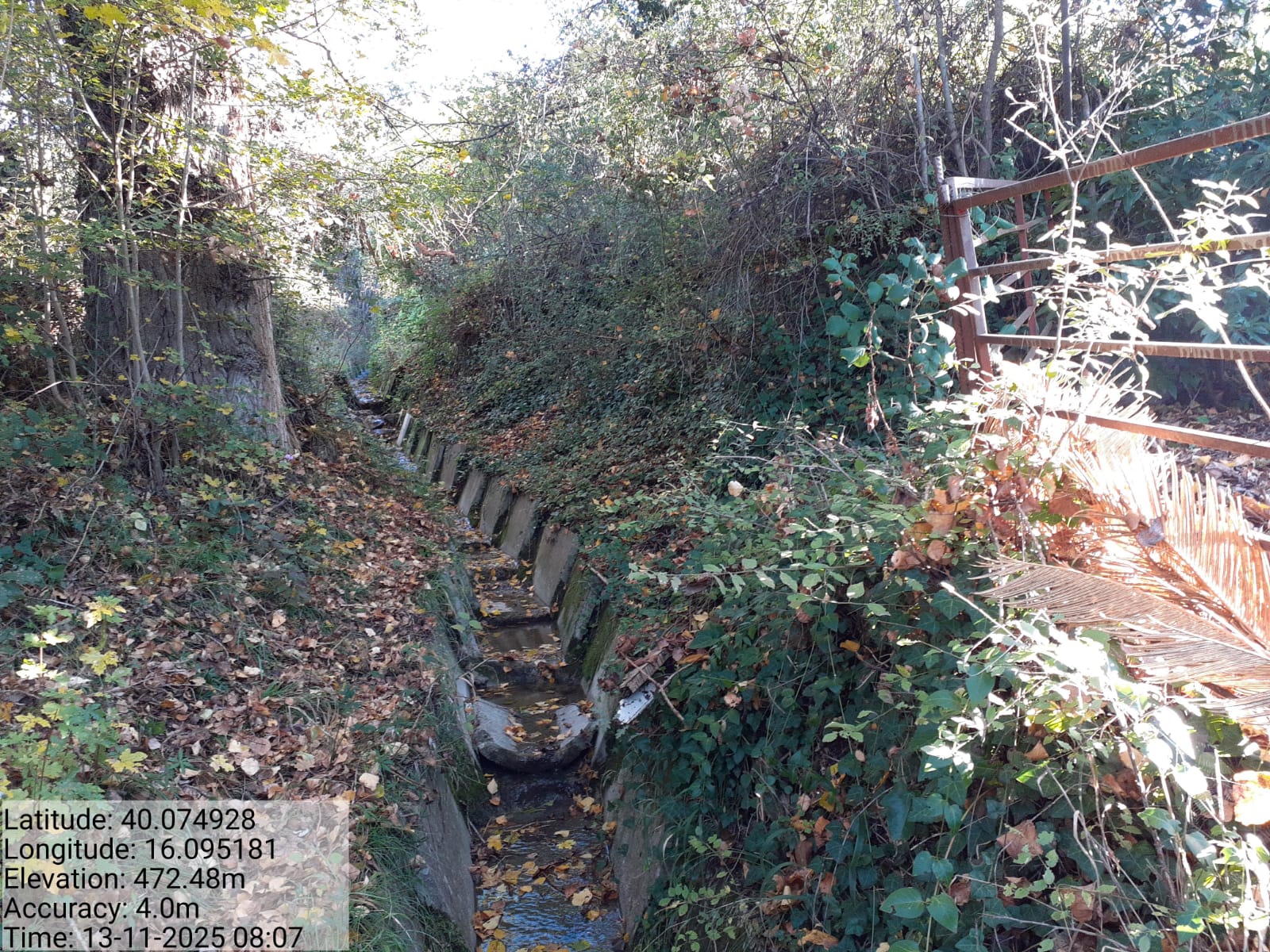 Galleria Fotografica Immagine