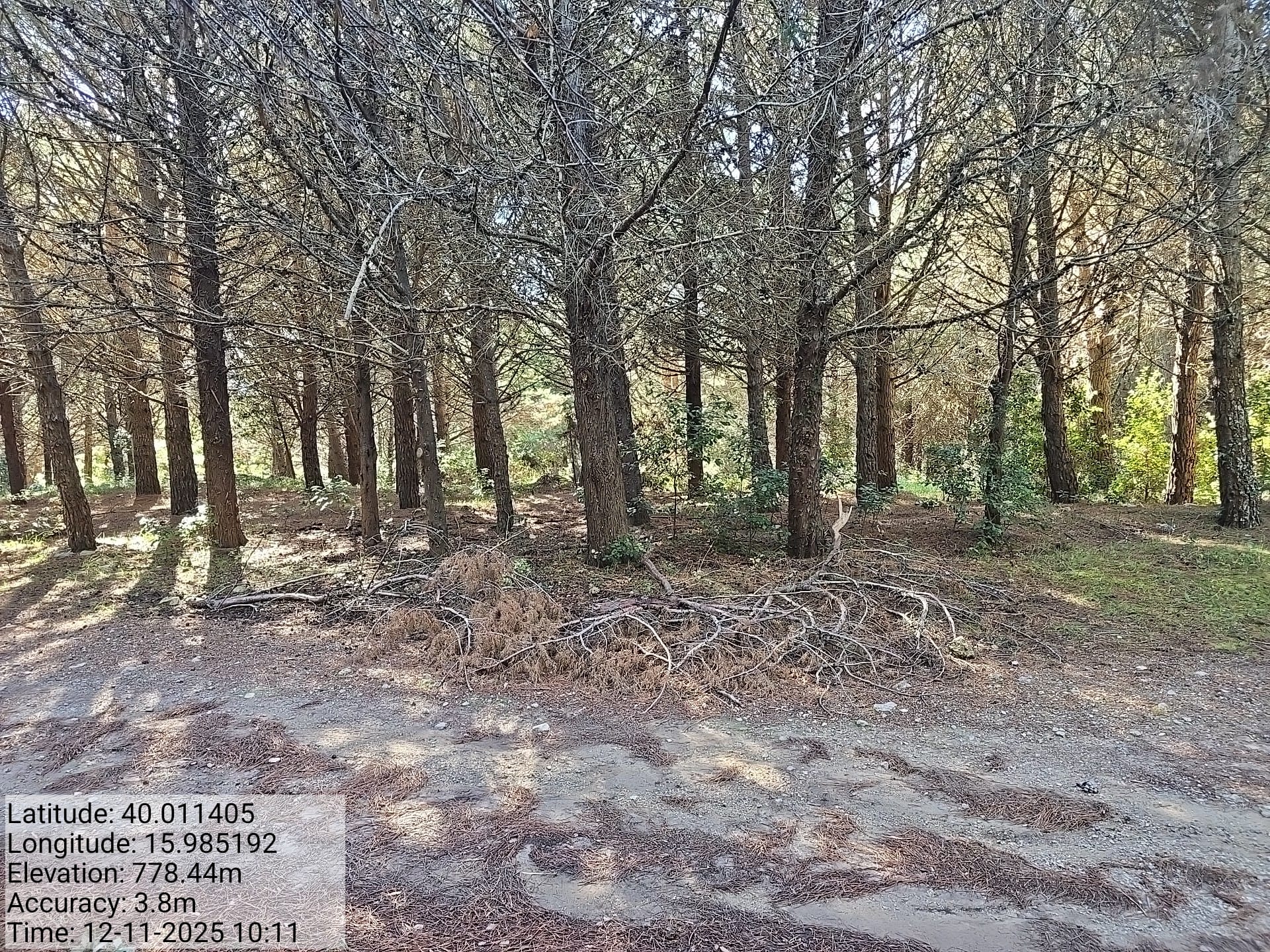 Galleria Fotografica Immagine