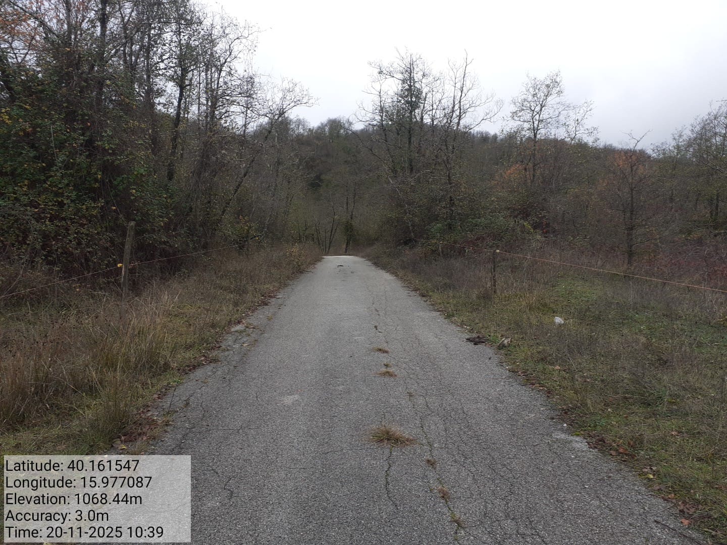 Galleria Fotografica Immagine