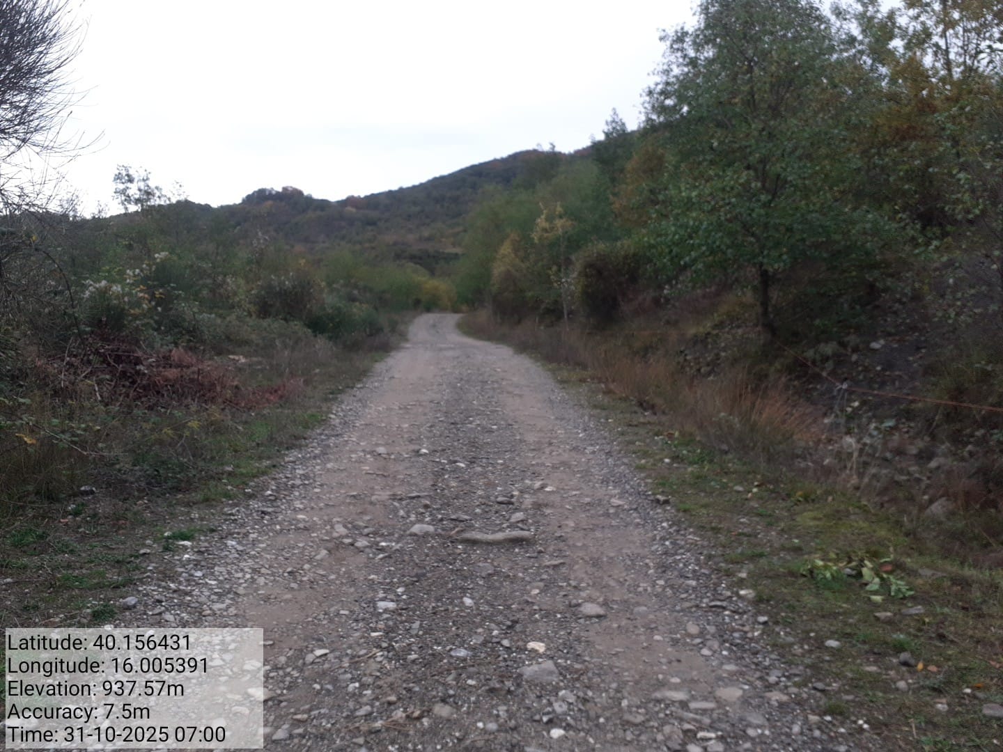 Galleria Fotografica Immagine