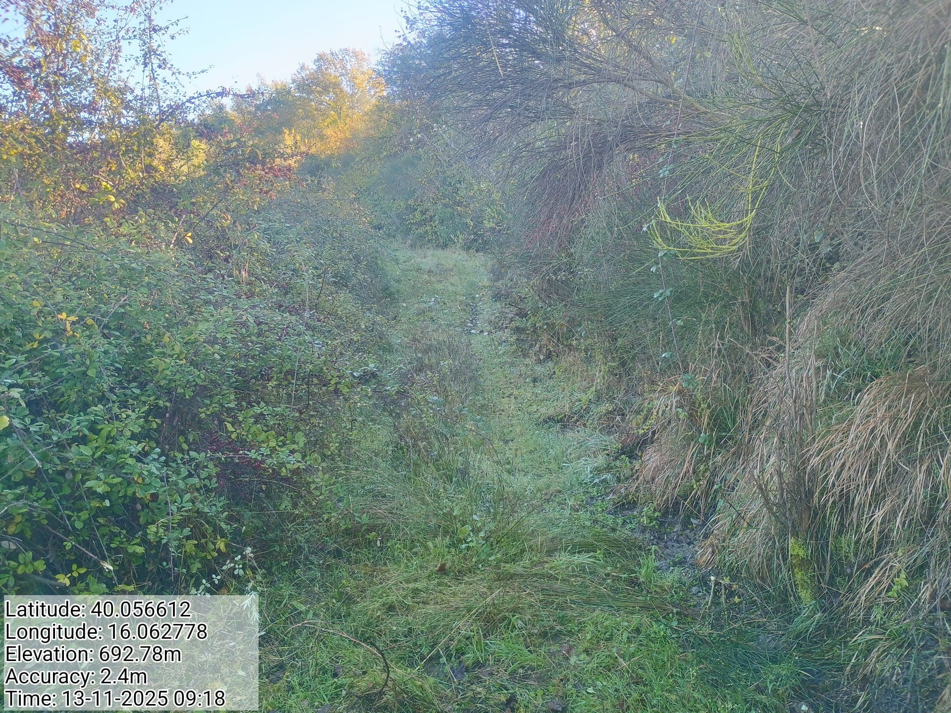 Galleria Fotografica Immagine