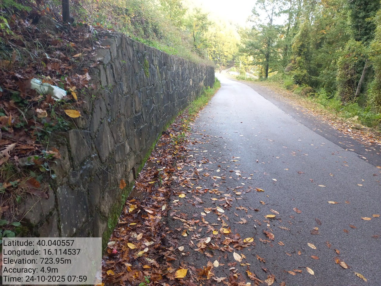 Galleria Fotografica Immagine