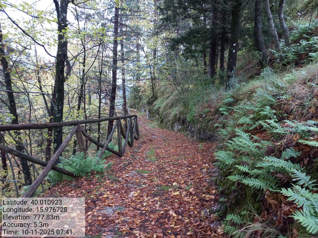 Galleria Fotografica Immagine