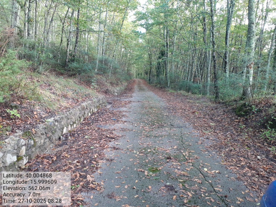 Galleria Fotografica Immagine