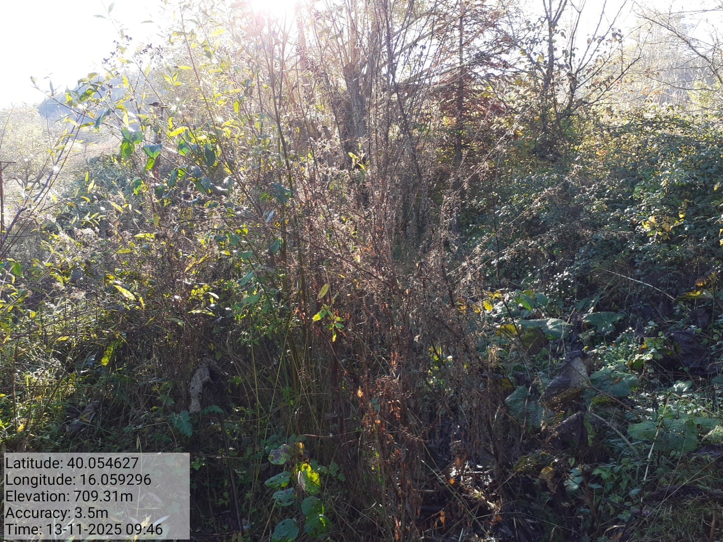 Galleria Fotografica Immagine