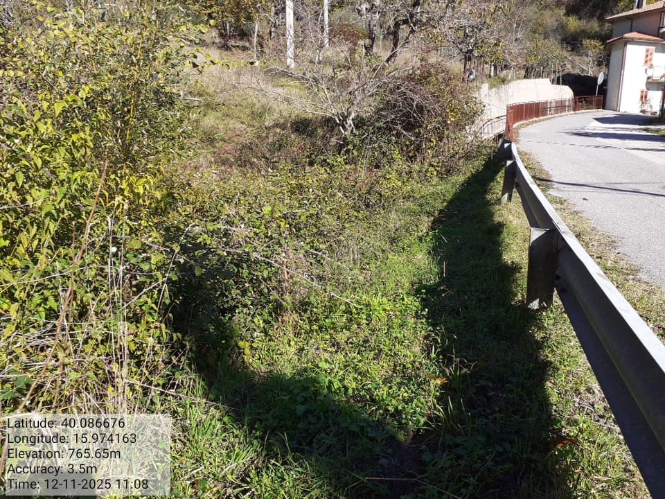 Galleria Fotografica Immagine