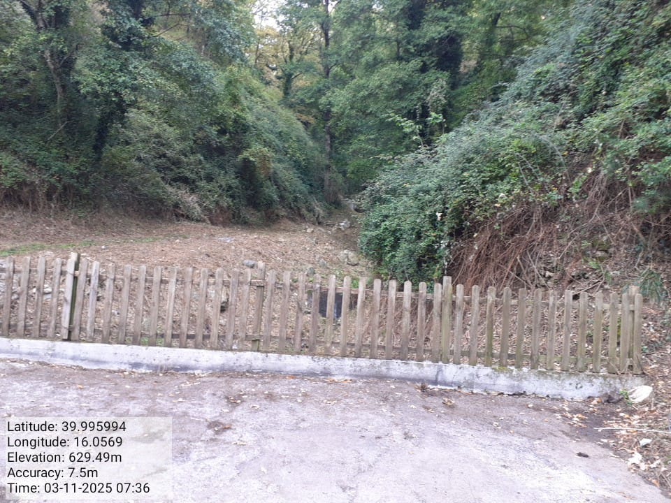 Galleria Fotografica Immagine