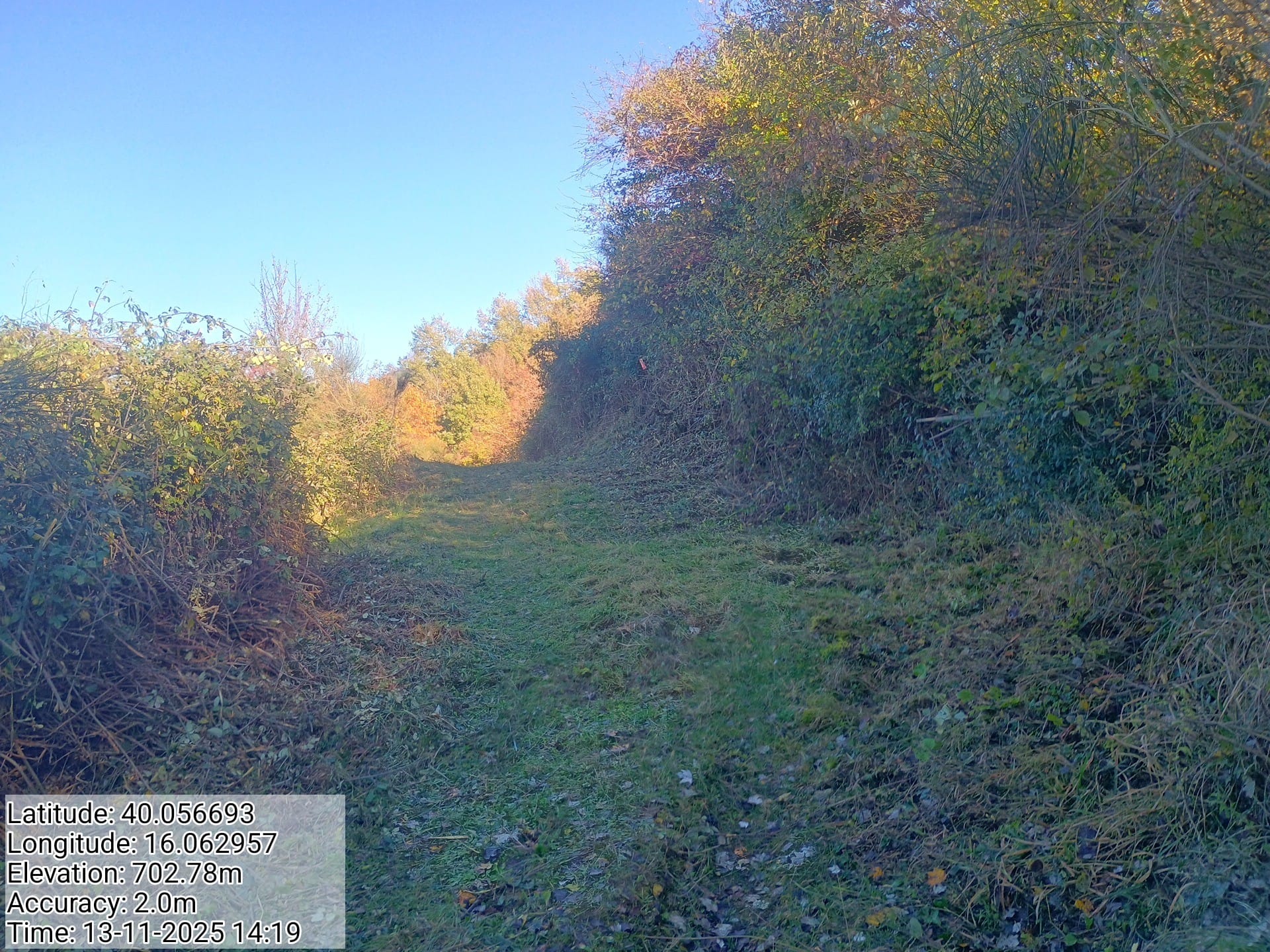 Galleria Fotografica Immagine