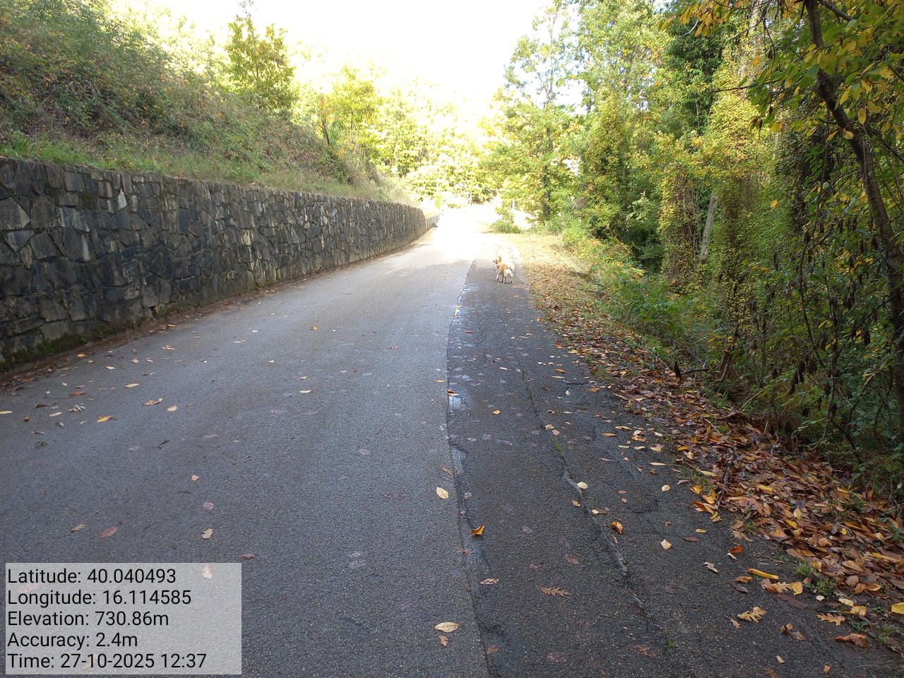 Galleria Fotografica Immagine