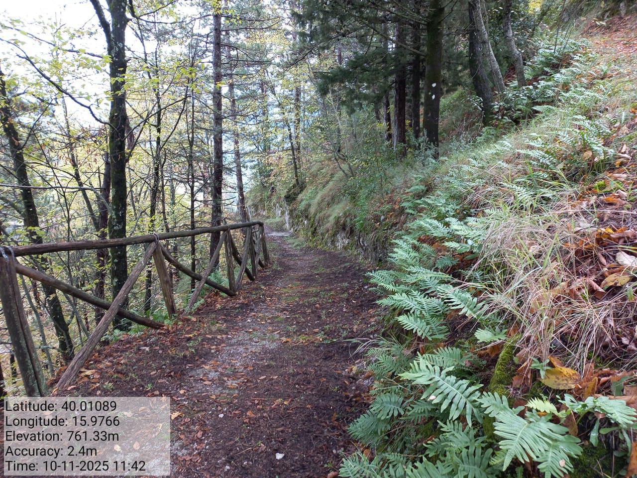 Galleria Fotografica Immagine