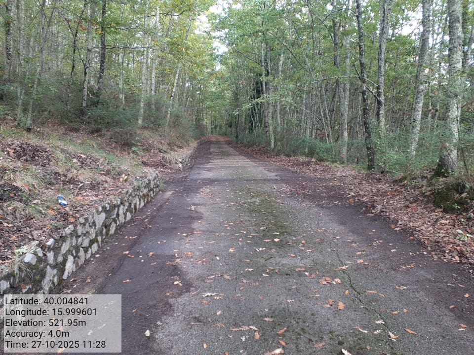 Galleria Fotografica Immagine