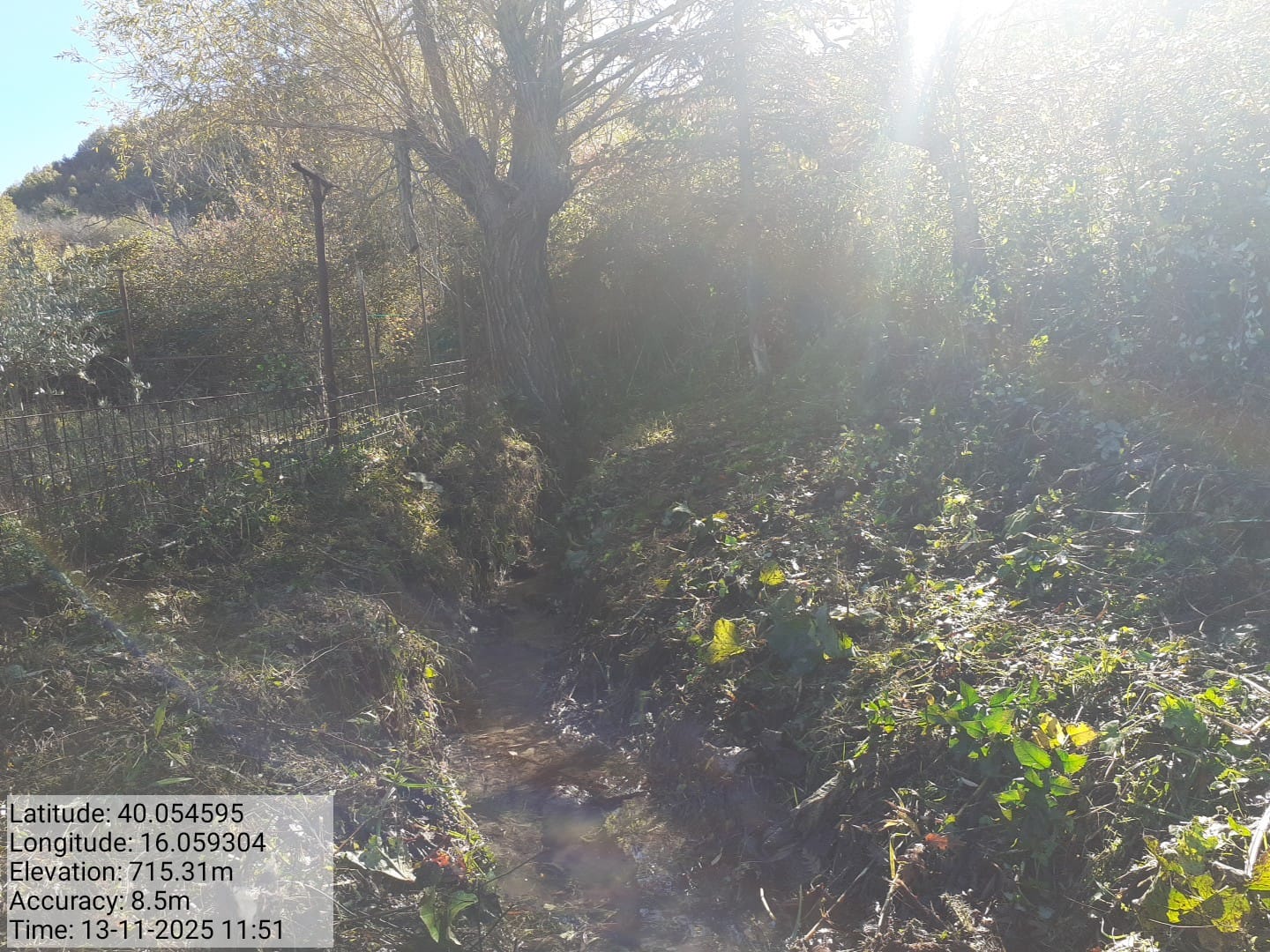 Galleria Fotografica Immagine