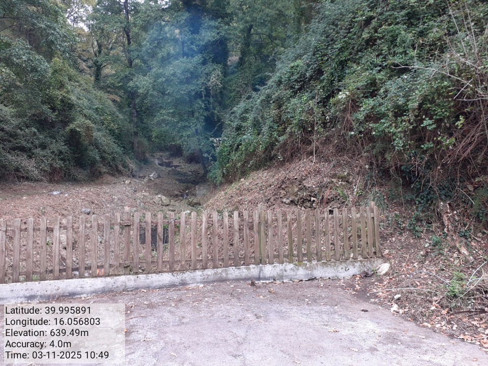 Galleria Fotografica Immagine