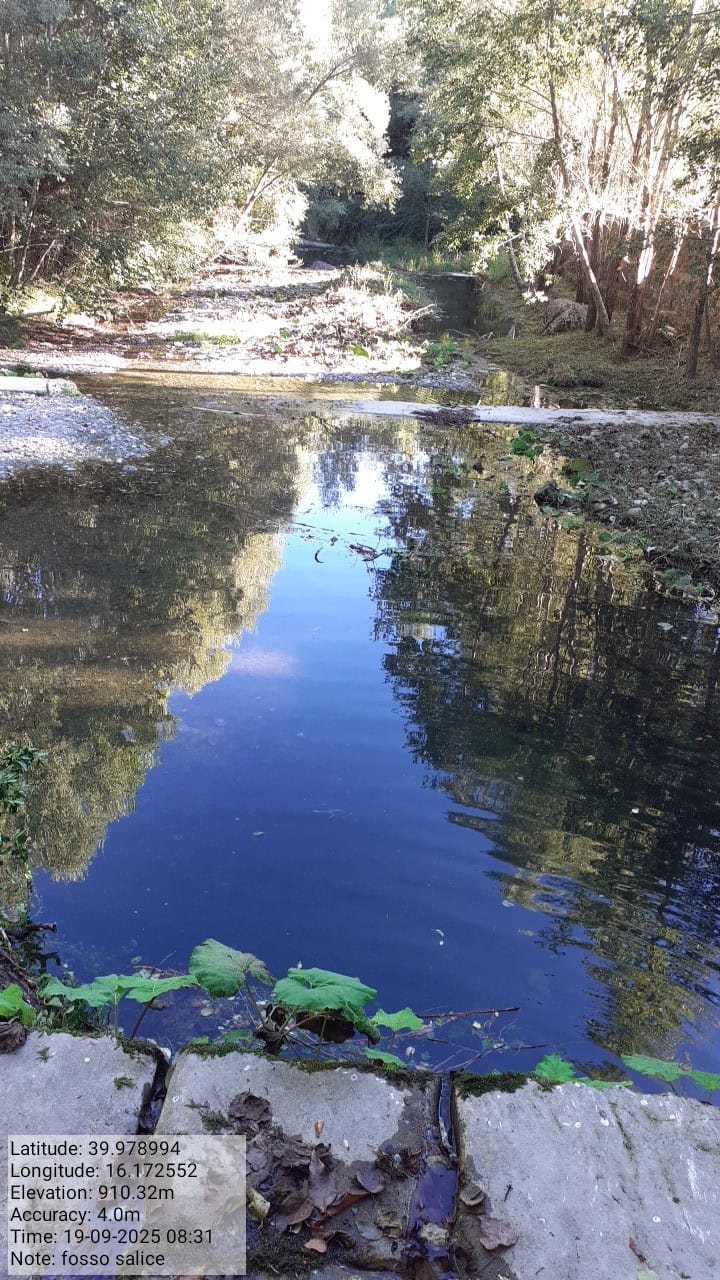 Galleria Fotografica Immagine