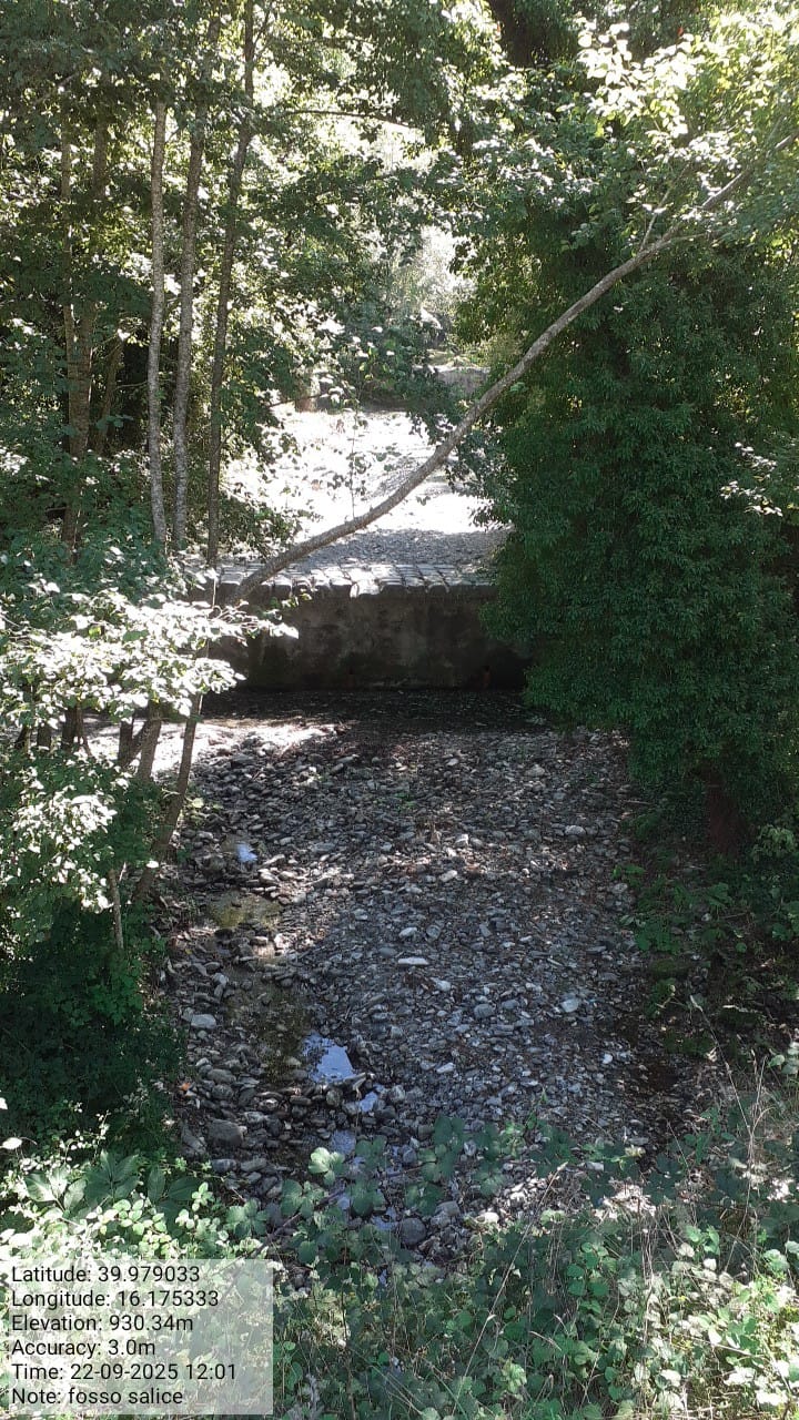 Galleria Fotografica Immagine