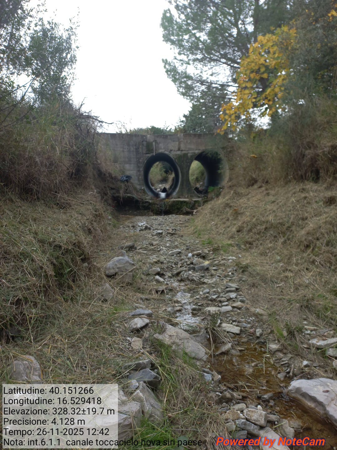 Galleria Fotografica Immagine