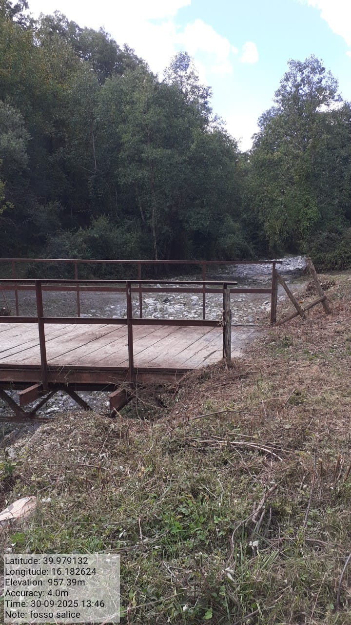 Galleria Fotografica Immagine