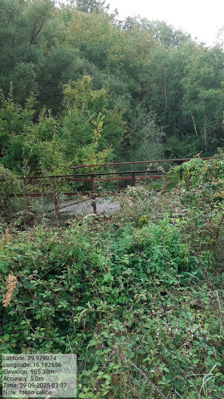 Galleria Fotografica Immagine