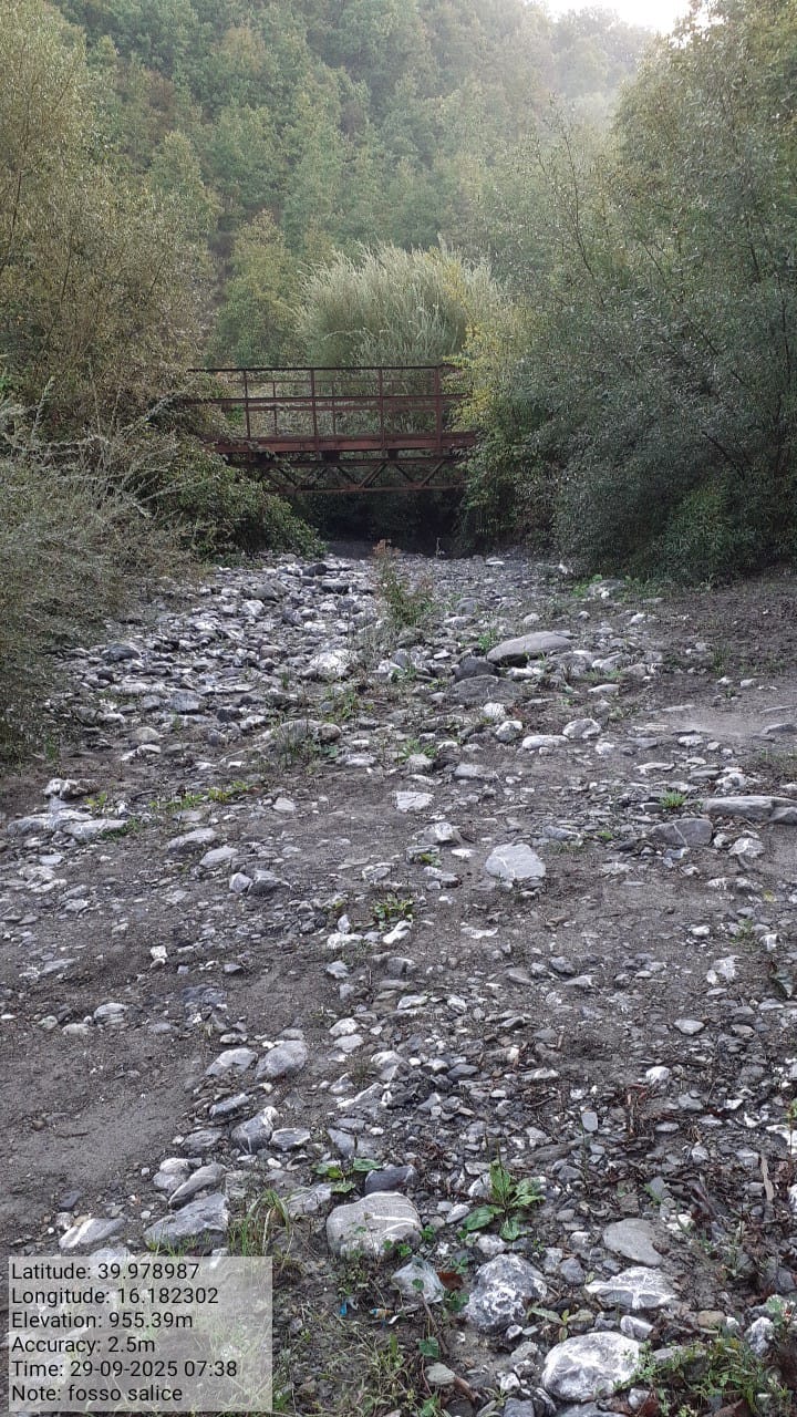 Galleria Fotografica Immagine