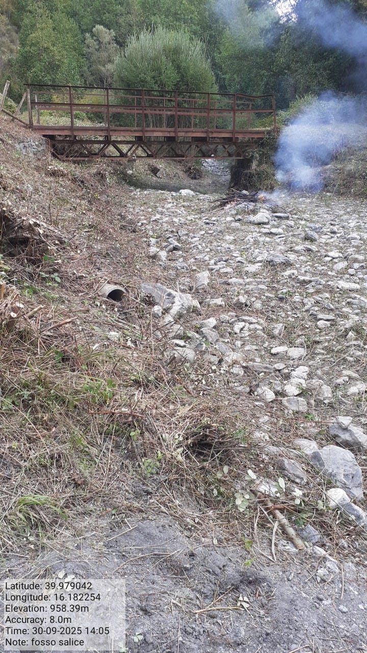 Galleria Fotografica Immagine