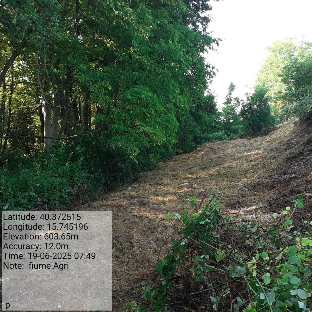 Galleria Fotografica Immagine