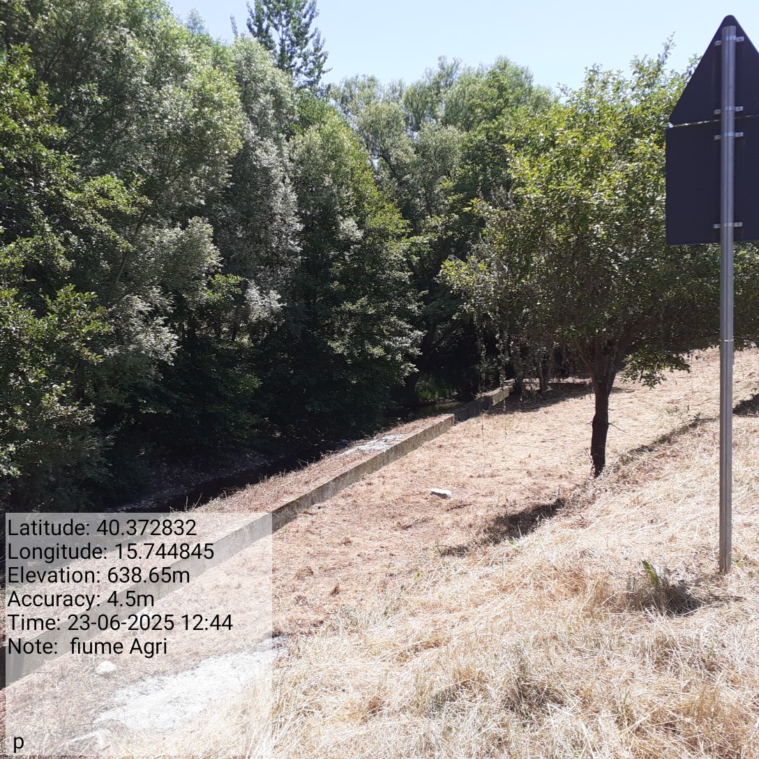 Galleria Fotografica Immagine